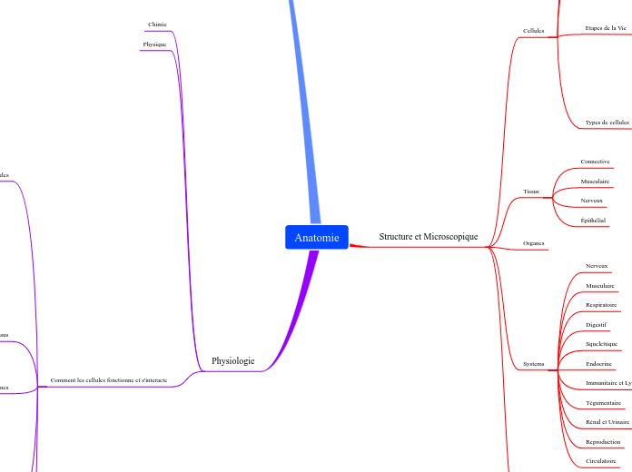 Anatomie