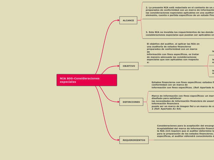 NIA 800-Consideraciones especiales