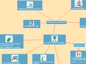 Processus d'élaboration du projet