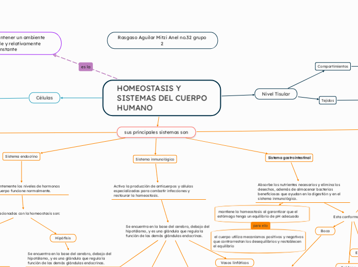 HOMEOSTASIS Y SISTEMAS DEL CUERPO HUMANO