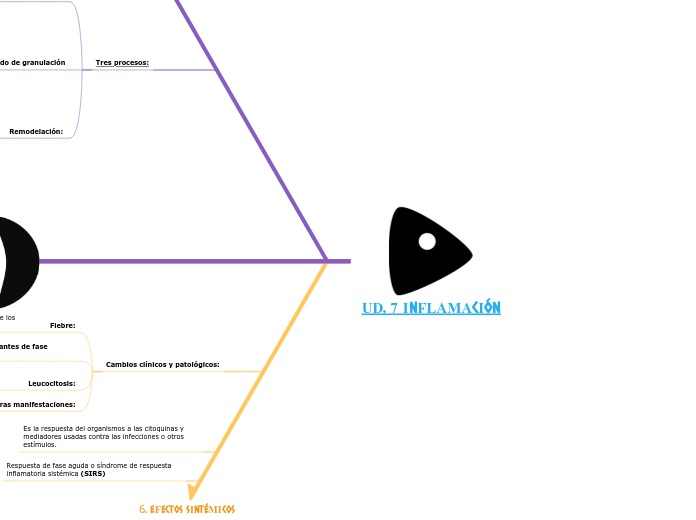 UD. 7 INFLAMACIÓN