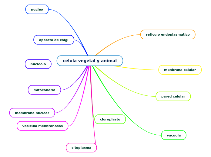 celula vegetal y animal