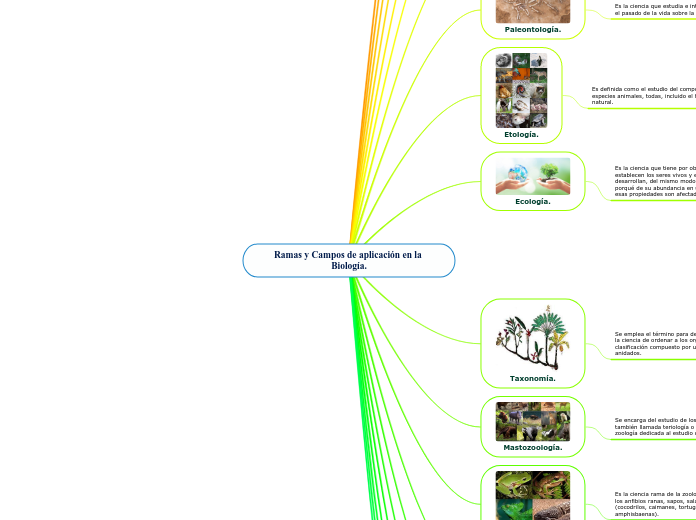 Ramas y Campos de aplicación en la Biología.