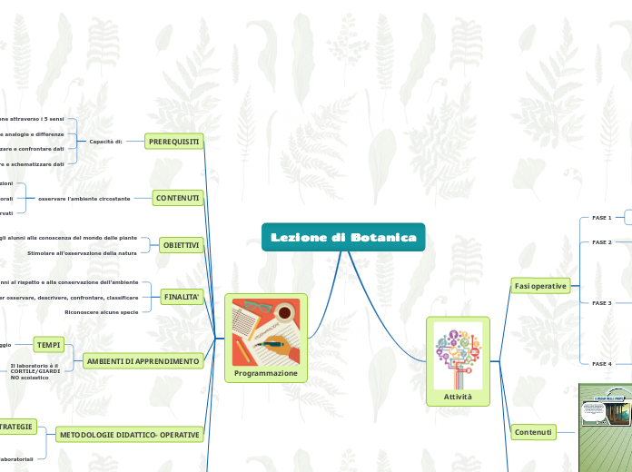 Lezione di Botanica