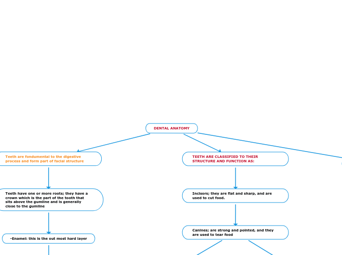 DENTAL ANATOMY
