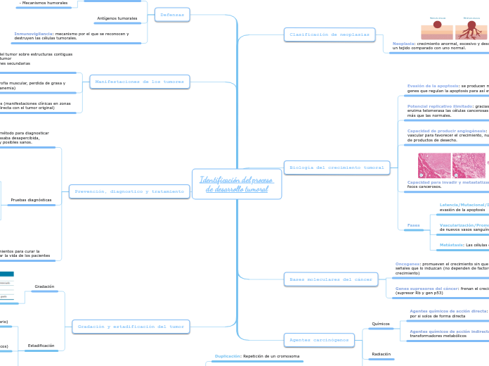 Identificación del proceso 
de desarrollo tumoral