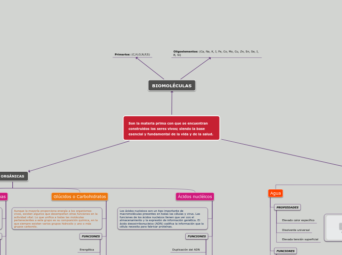 Son la materia prima con que se encuentran construidos los seres vivos; siendo la base esencial y fundamental de la vida y de la salud.