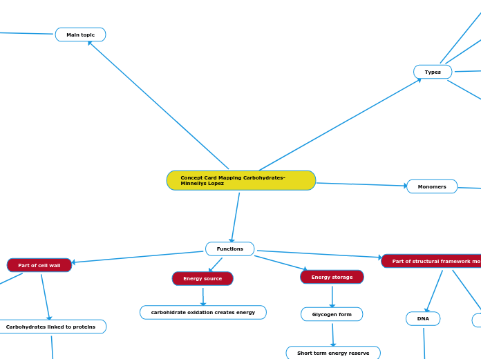 Concept Card Mapping Carbohydrates-Minnellys Lopez