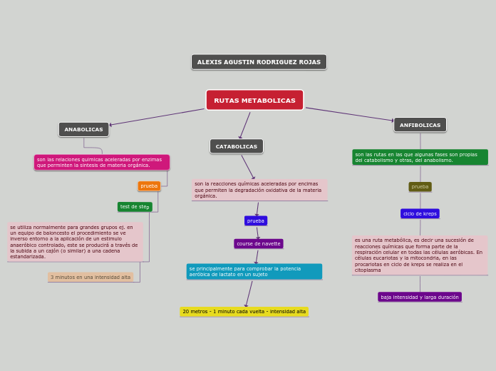 RUTAS METABOLICAS