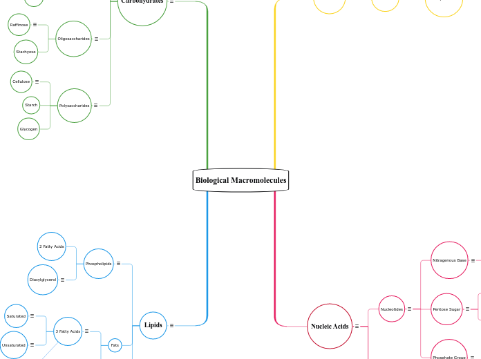 Biological Macromolecules back up 