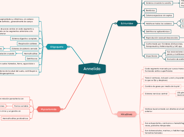 Annelida