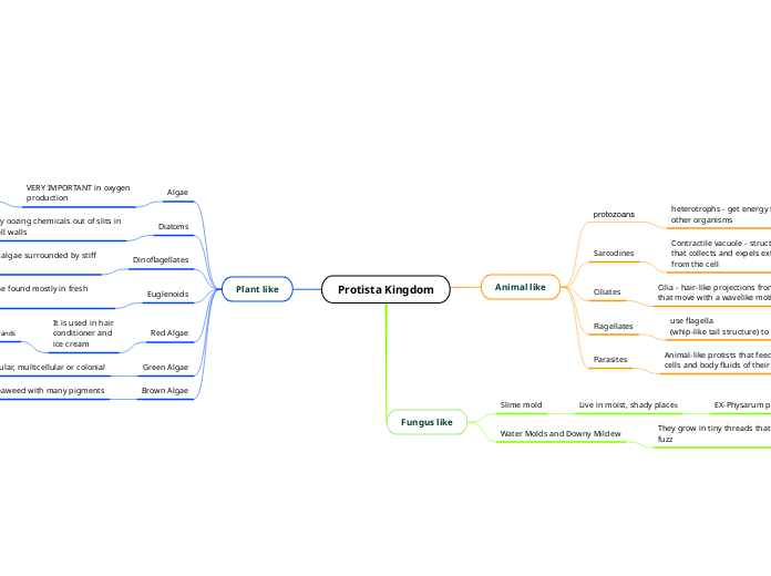 Protista Kingdom