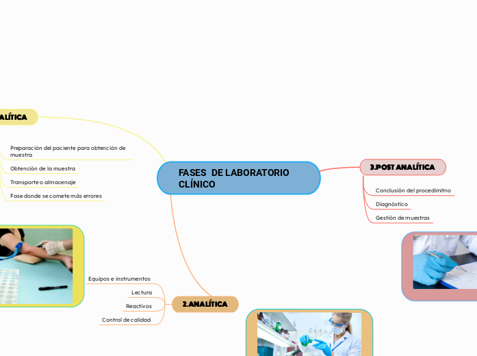 FASES  DE LABORATORIO CLÍNICO