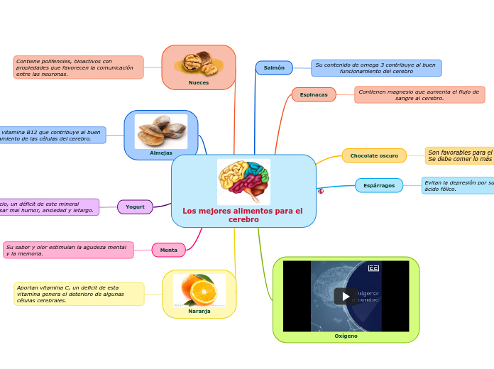 Los mejores alimentos para el cerebro