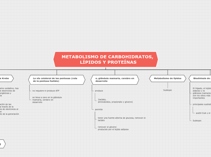 METABOLISMO DE CARBOHIDRATOS, LÍPIDOS Y PROTEÍNAS