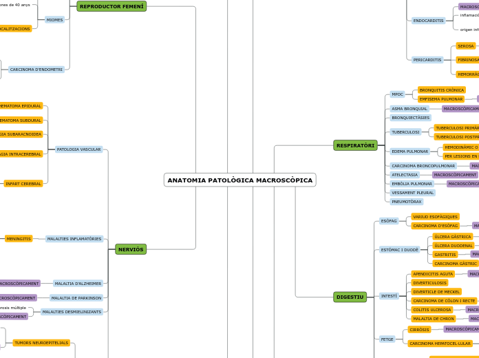 ANATOMIA PATOLÒGICA MACROSCÒPICA