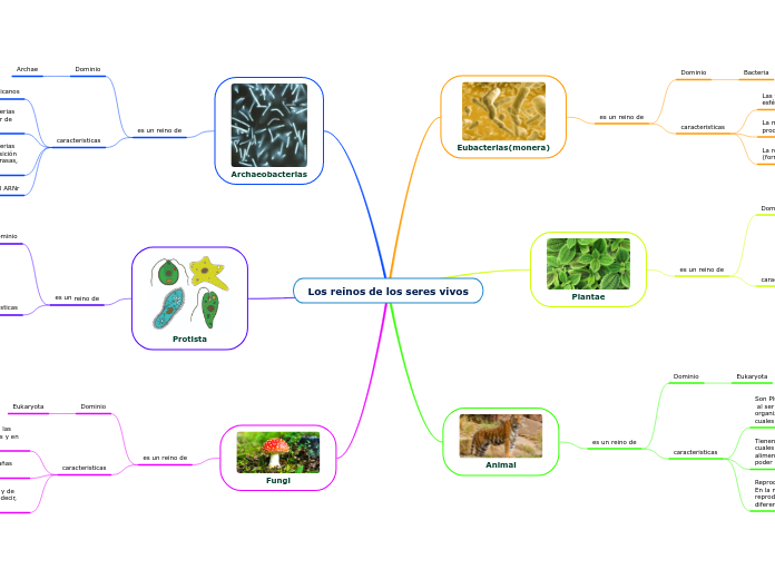 Los reinos de los seres vivos