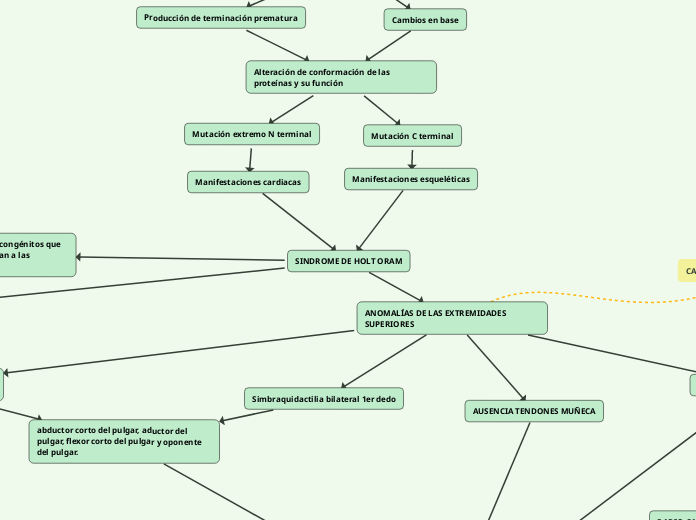 SINDROME DE HOLT ORAM