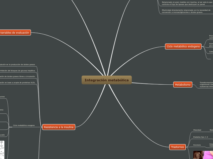 Integración metabólica