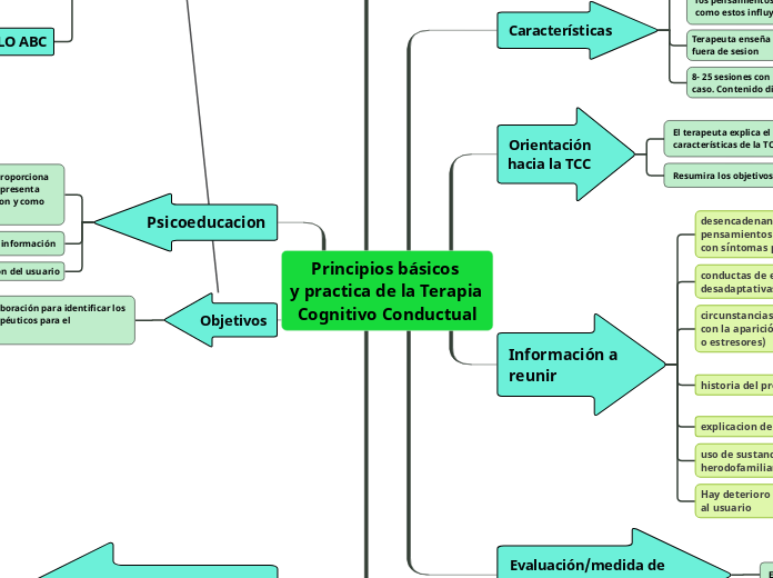 Principios básicos 
y practica de la Terapia Cognitivo Conductual