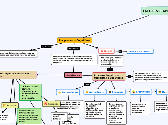 Los procesos Cognitivos