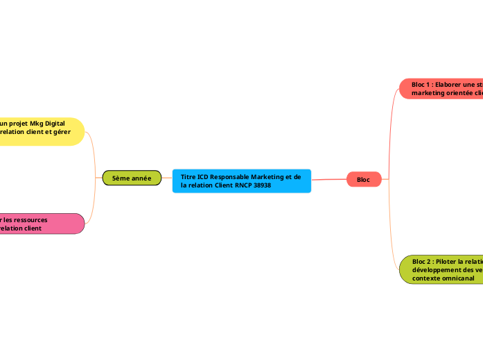 Titre ICD Responsable Marketing et de la relation Client RNCP 38938