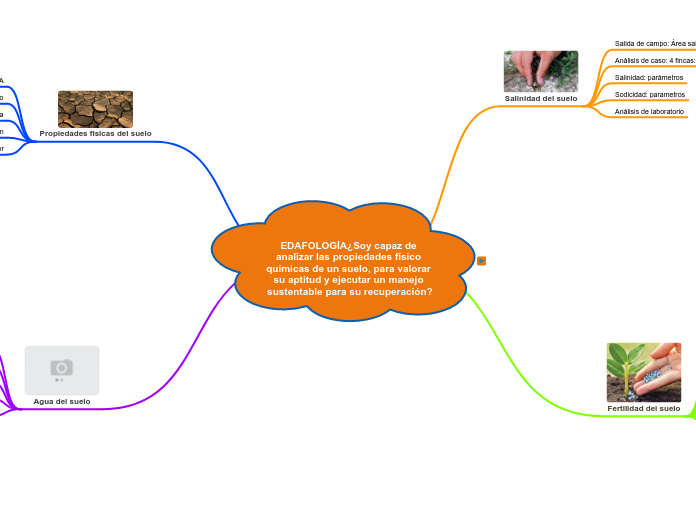 EDAFOLOGÍA¿Soy capaz de analizar las propiedades físico químicas de un suelo, para valorar su aptitud y ejecutar un manejo sustentable para su recuperación?
