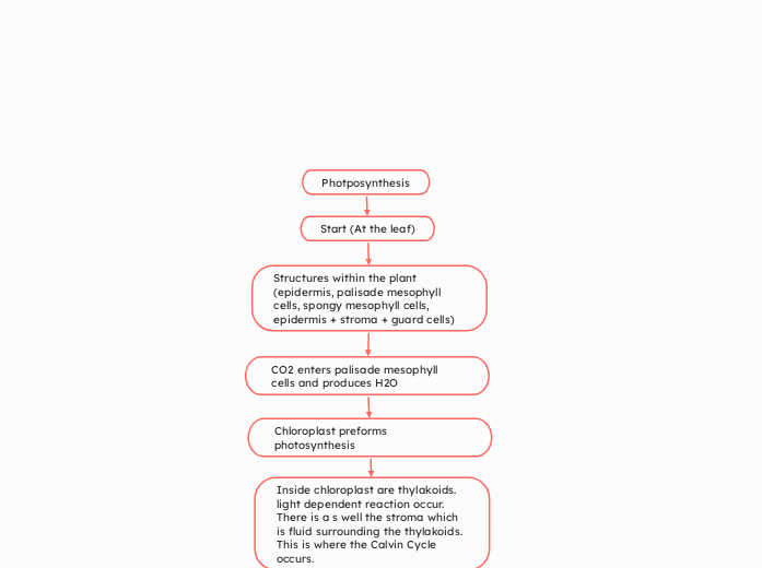 Photposynthesis