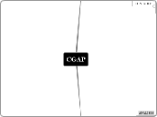 CGAP