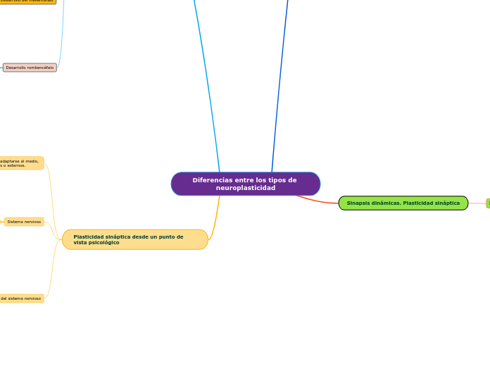 Diferencias entre los tipos de neuroplasticidad