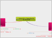 Inducción y Capacitación de personal