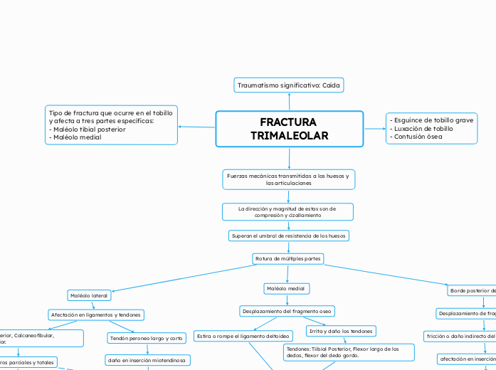 FRACTURA TRIMALEOLAR