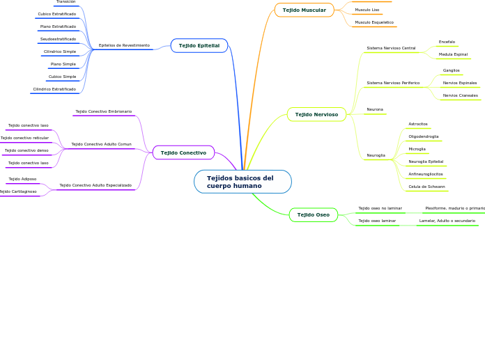 Tejidos basicos del cuerpo humano