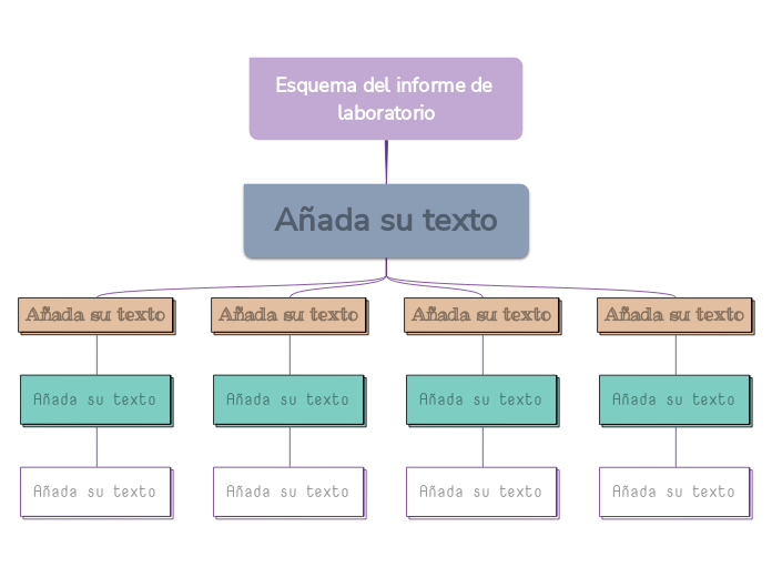 Esquema del informe de laboratorio