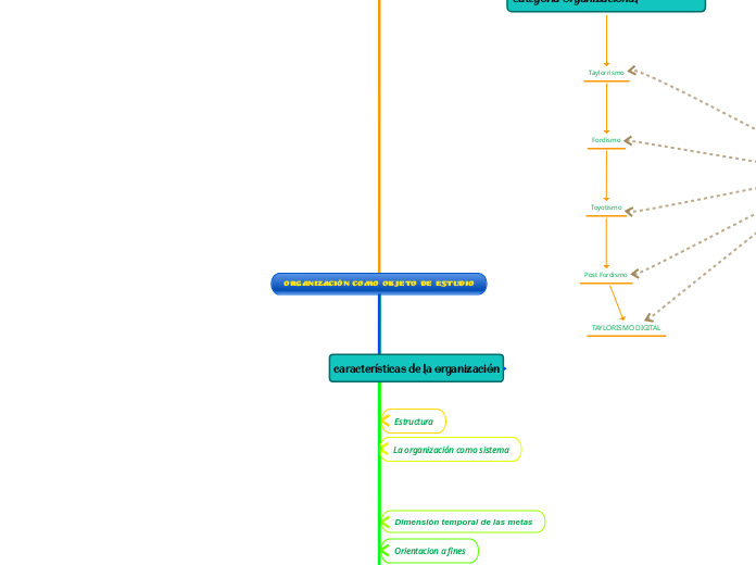 organización como objeto de estudio