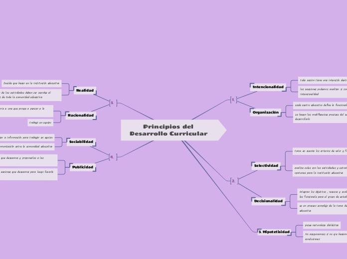 Principios del Desarrollo Curricular 