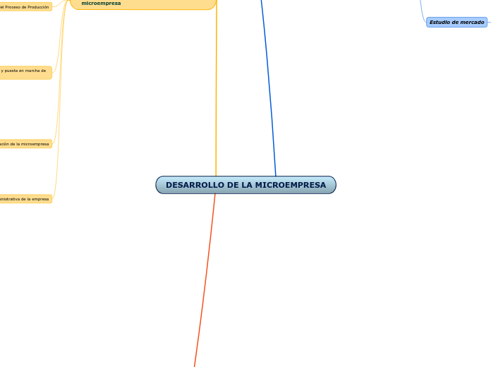 DESARROLLO DE LA MICROEMPRESA