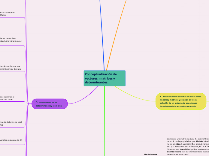 Conceptualización de vectores, matrices y determinantes.