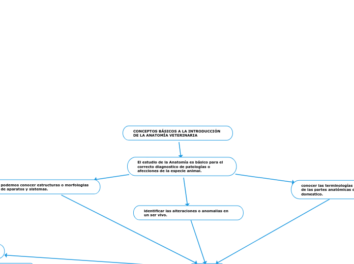 CONCEPTOS BÁSICOS A LA INTRODUCCIÓN DE LA ANATOMÍA VETERINARIA