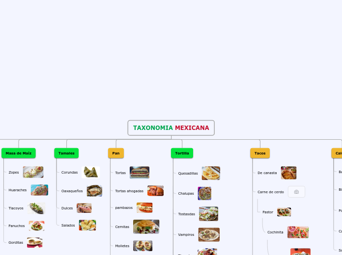 TAXONOMIA MEXICANA