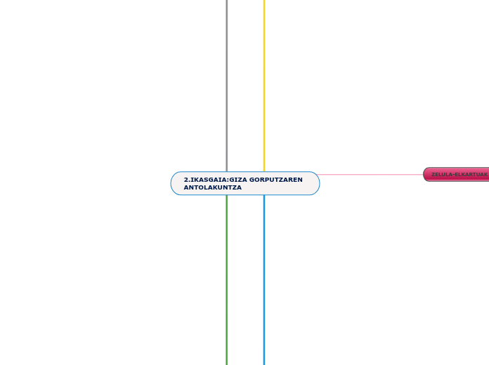 2.IKASGAIA:GIZA GORPUTZAREN ANTOLAKUNTZA