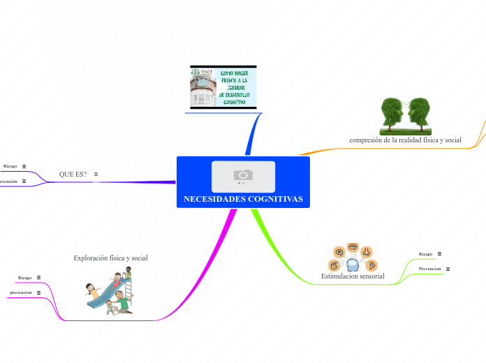 NECESIDADES COGNITIVAS