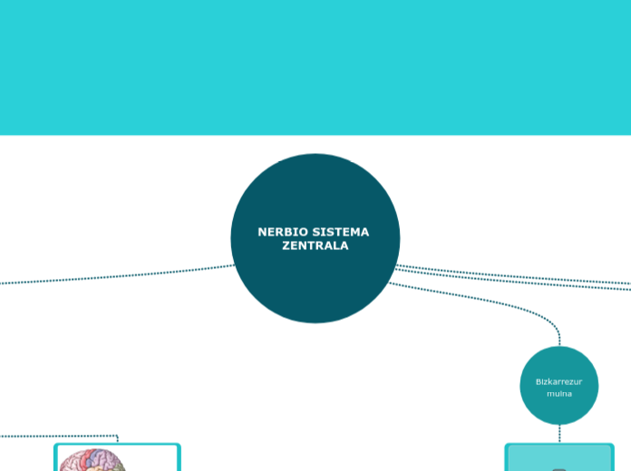 NERBIO SISTEMA ZENTRALA