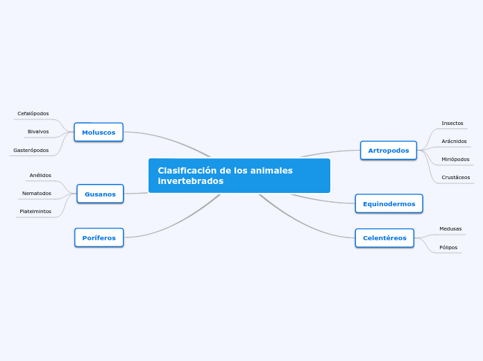 Clasificación de los animales invertebrados