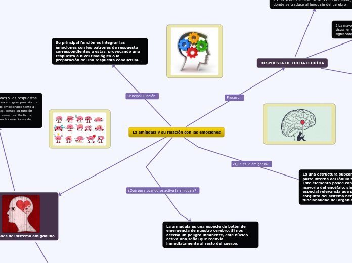La amígdala y su relación con las emociones