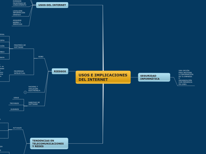 USOS E IMPLICACIONES DEL INTERNET