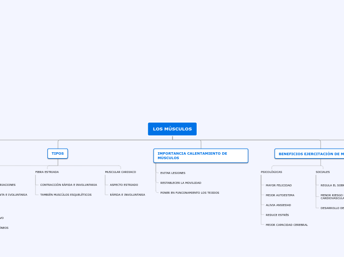 LOS MÙSCULOS