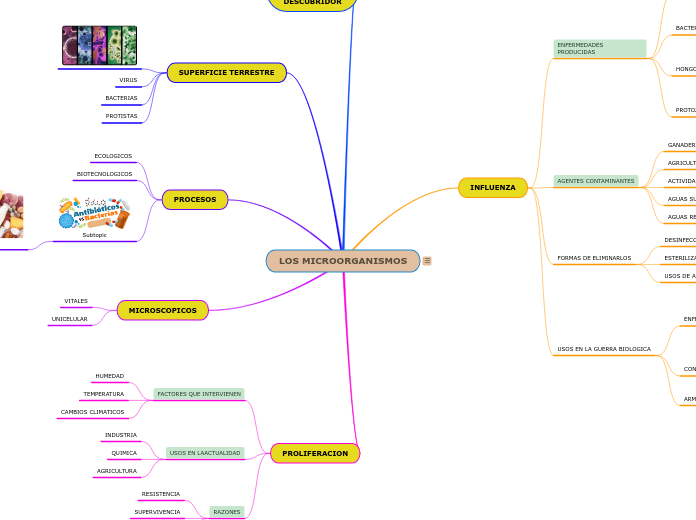 LOS MICROORGANISMOS