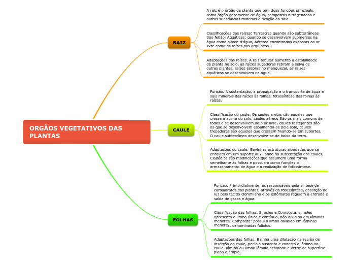 ORGÃOS VEGETATIVOS DAS PLANTAS