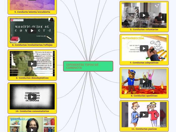 DIFERENTES TIPOS DE CONDUCTA